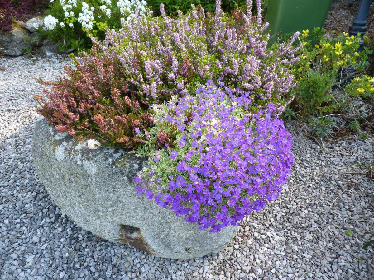 Higher Coombe Bovey Tracey Exterior foto