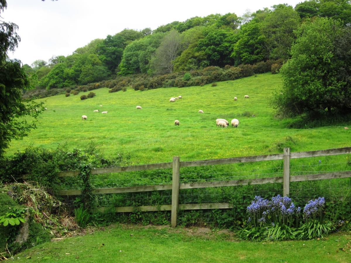Higher Coombe Bovey Tracey Exterior foto